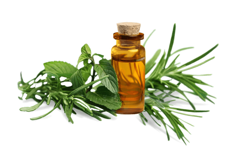 essentials oils manufacturer
