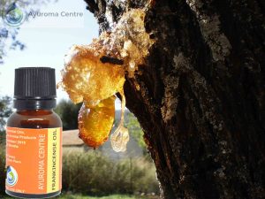 Read more about the article Frankincense Oil And Its Benefits