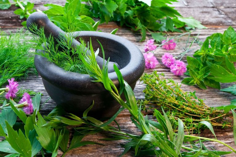 Read more about the article Essential oil: Modern substitute of western medicine