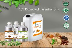 Read more about the article Understanding CO2 Extracted Essential Oils – Pros & Cons