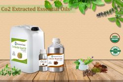 Read more about the article Essential  Oils  Extraction  using  CO2  Supercritical  Fluid  Extraction (SFE)