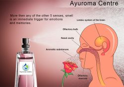 Read more about the article Scent Marketing – A Brief Introduction of it and how to approach it.