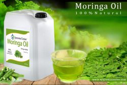 Read more about the article Knowing Moringa : Benefits of Moringa Oil