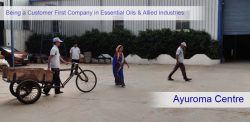 Read more about the article Being a Customer First Company in Essential Oils and Allied Industries.