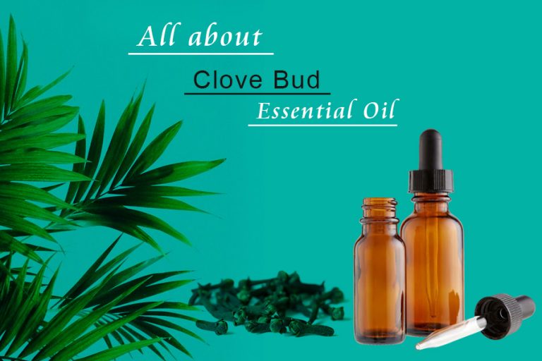 Read more about the article All About Clove Bud Essential Oil