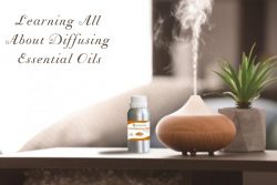 Read more about the article Learning All About Diffusing Essential Oils