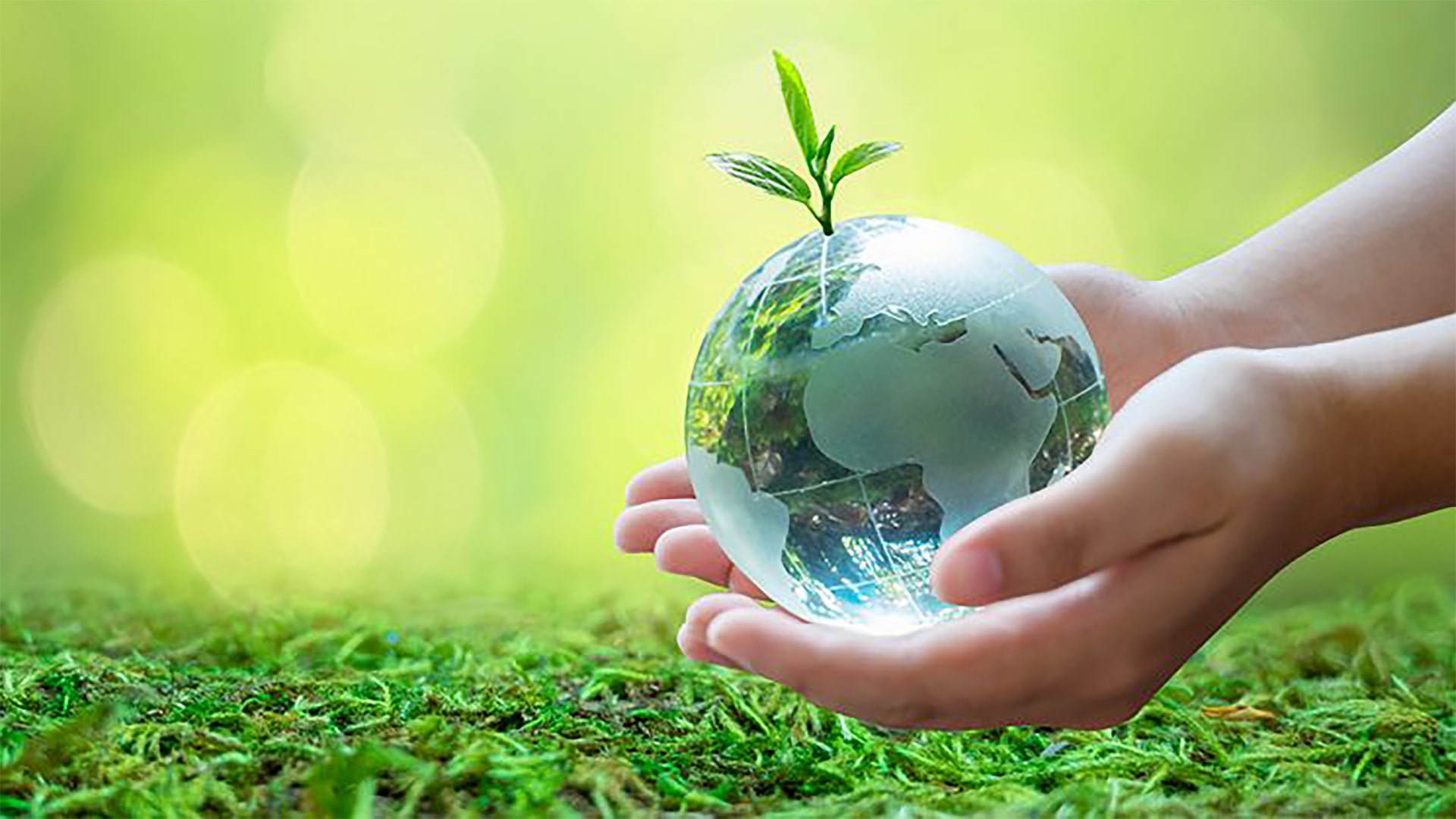 Sustainability