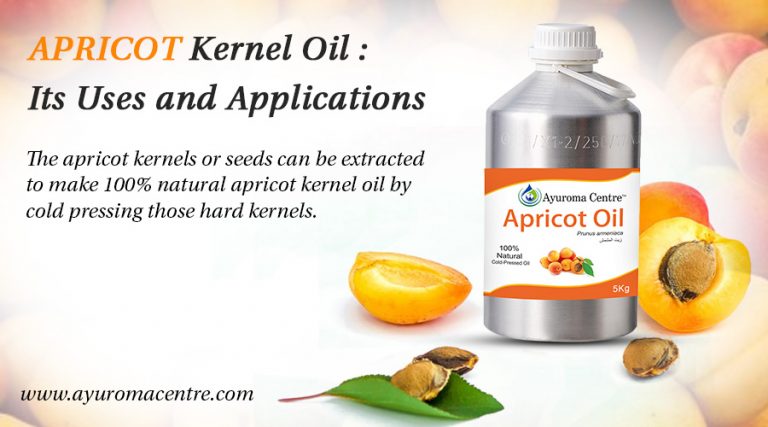 Read more about the article Apricot Kernel Oil : Its Uses and Applications